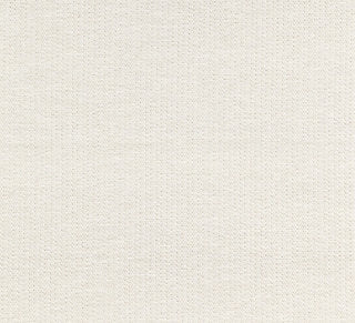 Scalamandre Capri Herringbone Linen SC 000127191 Isola Collection Upholstery Fabric