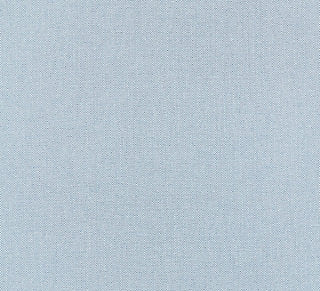 Scalamandre Canvas Sky SC 000227067 Endless Summer Collection Upholstery Fabric