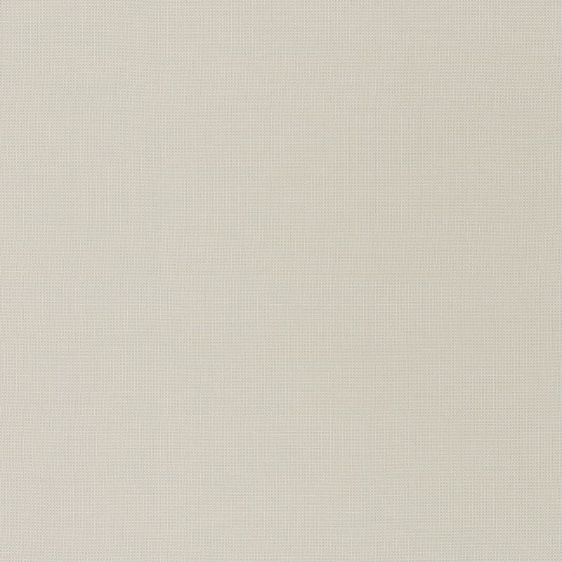 Schumacher Mondello Platinum 71020 Riviera Collection Upholstery Fabric
