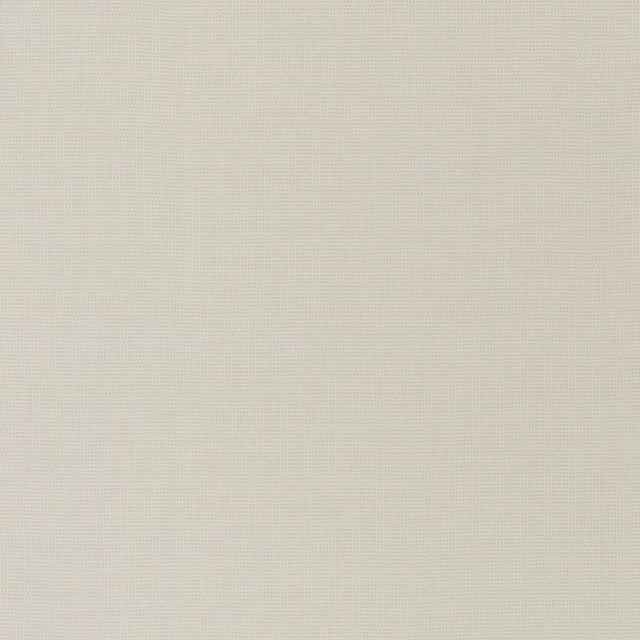 Schumacher Mondello Platinum 71020 Riviera Collection Upholstery Fabric