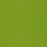 Schumacher Mondello Lime 71032 Riviera Collection Upholstery Fabric