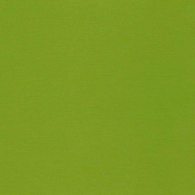 Schumacher Mondello Lime 71032 Riviera Collection Upholstery Fabric