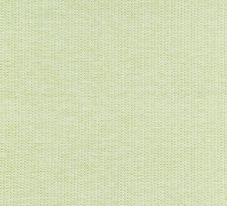Scalamandre Capri Herringbone Palm SC 000227191 Isola Collection Upholstery Fabric