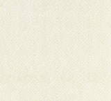 Scalamandre Antigua Weave Alabaster SC 000127197 Isola Collection Upholstery Fabric
