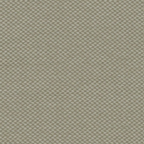 Duralee Jute DU16347-434 Upholstery Fabric