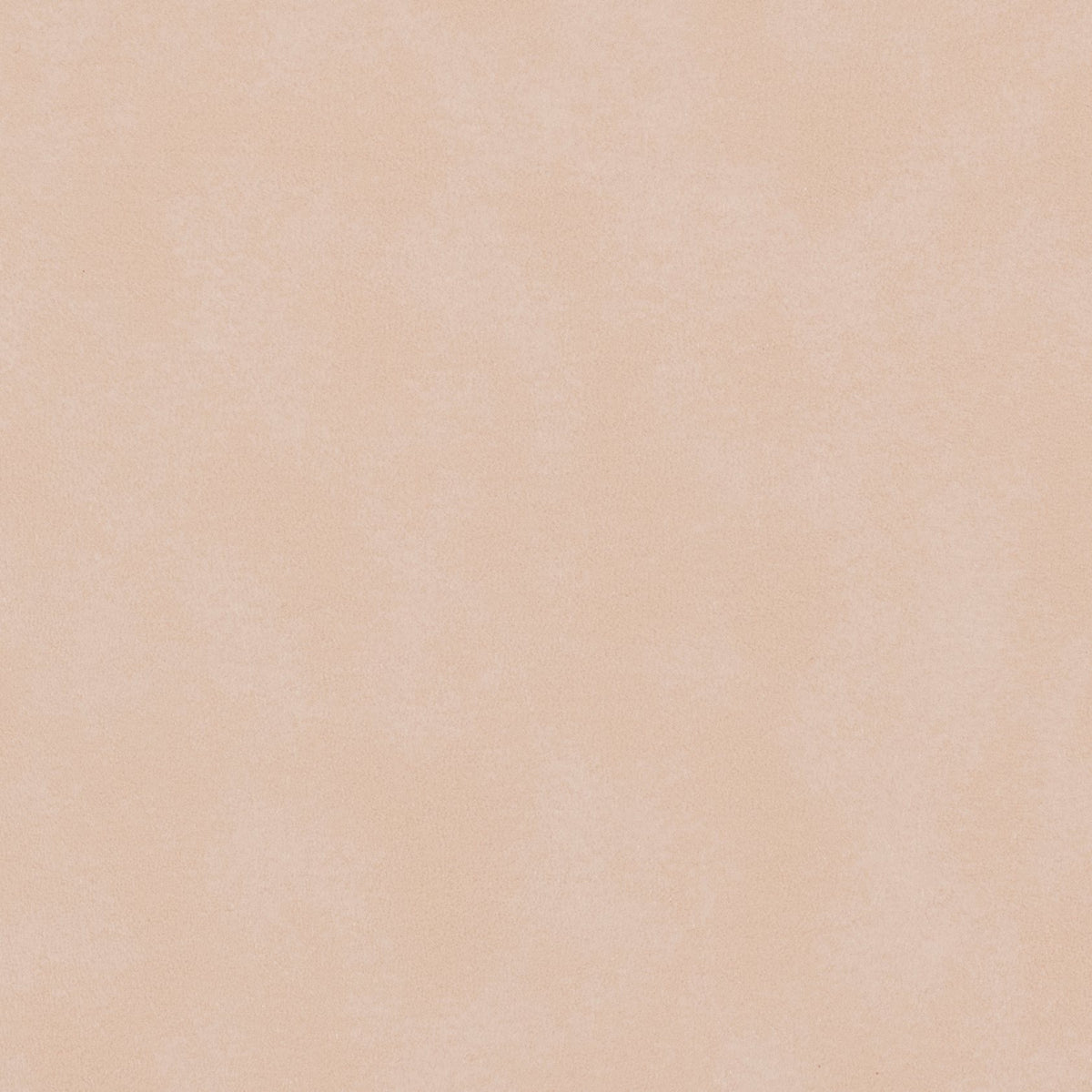 Morbern Marine Biscayne Bone BI-114 Upholstery Fabric