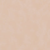 Morbern Marine Biscayne Bone BI-114 Upholstery Fabric