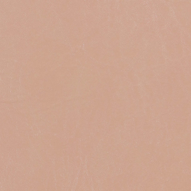 Morbern Marine Biscayne Sand Tan BI-116 Upholstery Fabric