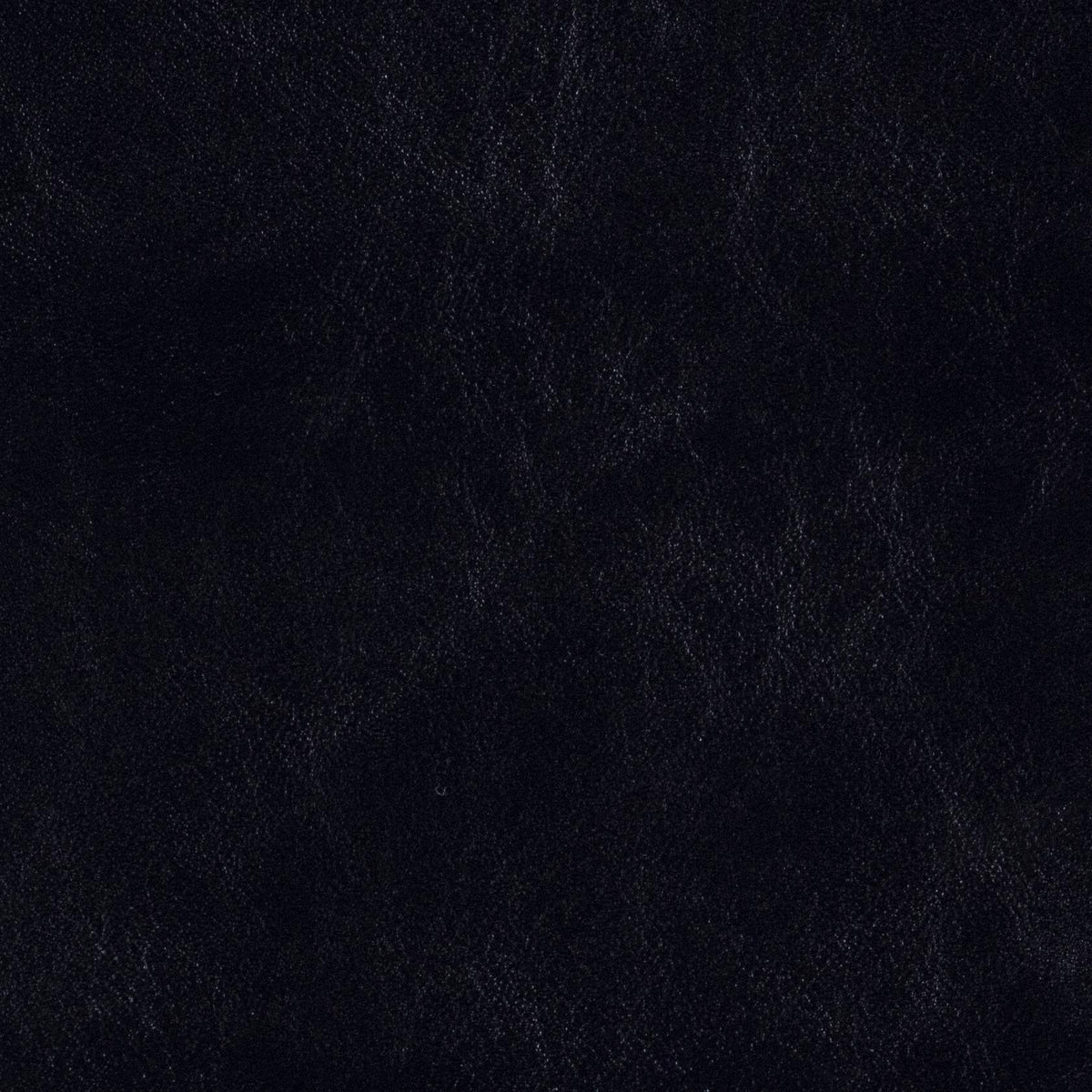 Morbern Marine Catalina Orca Black CL-513 Upholstery Fabric