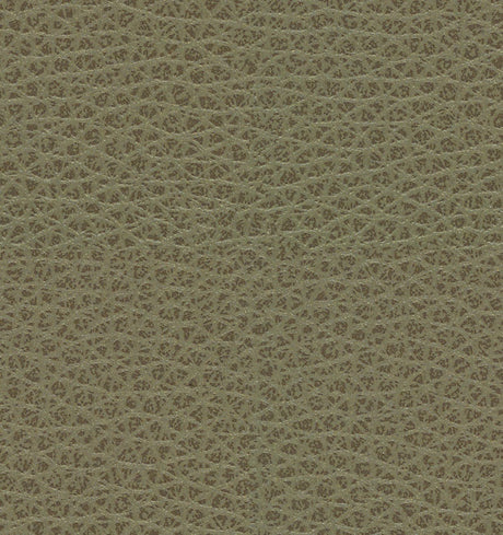 Mayer Maverick Cliff MK-026 Upholstery Fabric