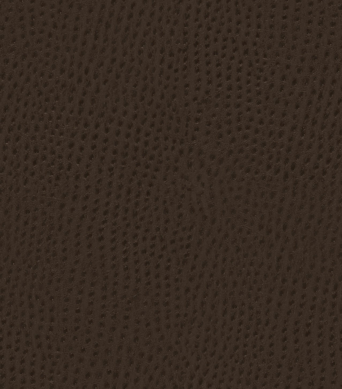 Mayer Outback Java OB-000 Upholstery Fabric