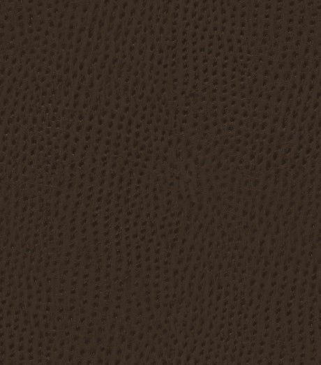 Mayer Outback Java OB-000 Upholstery Fabric