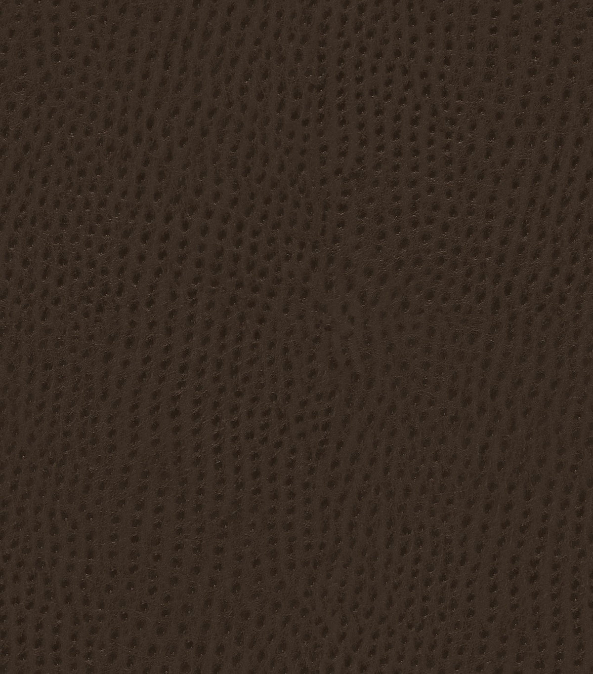 Mayer Outback Java OB-000 Upholstery Fabric