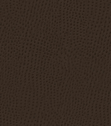 Mayer Outback Java OB-000 Upholstery Fabric