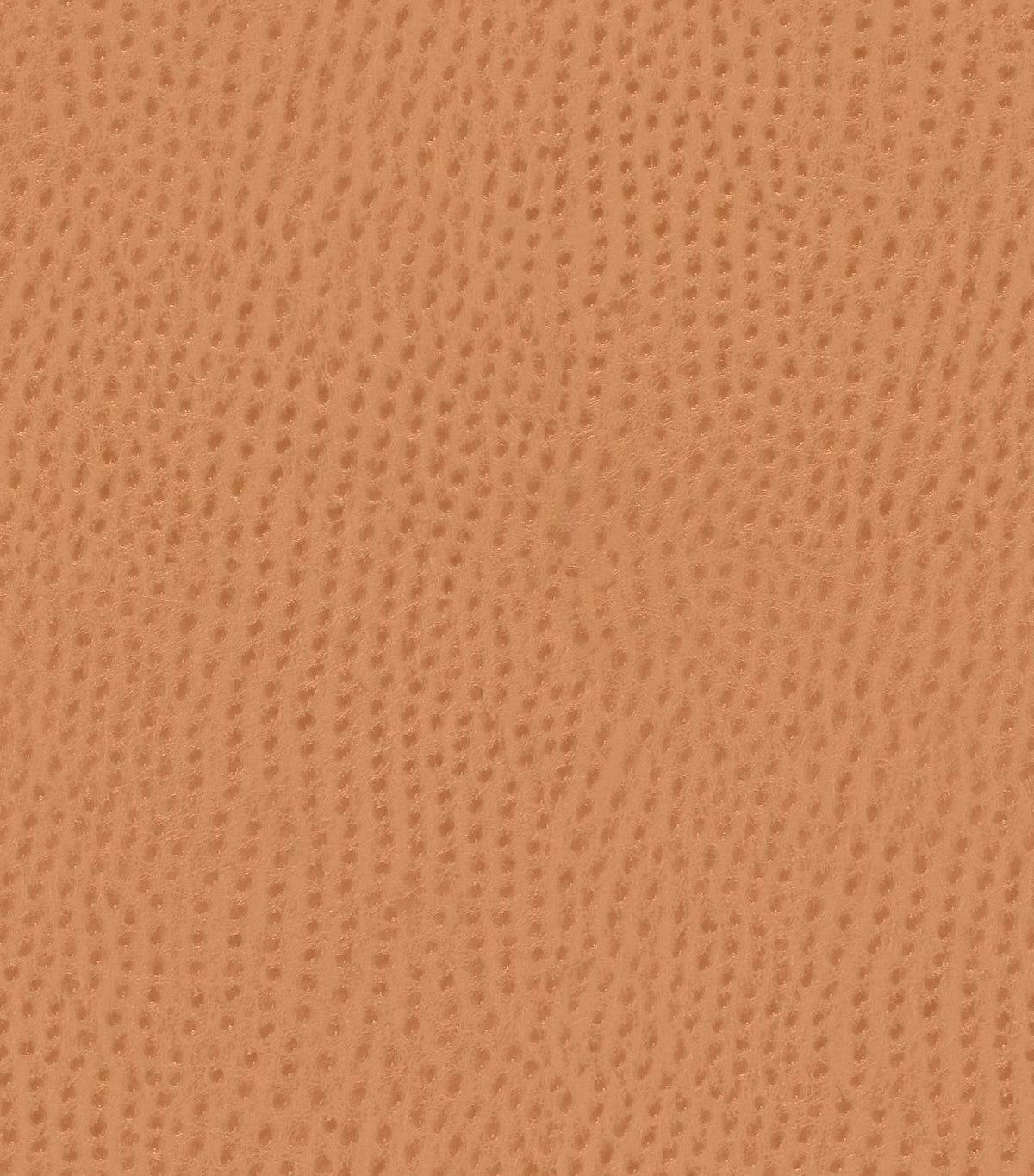 Mayer Outback Spice OB-009 Upholstery Fabric