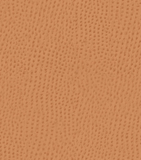 Mayer Outback Spice OB-009 Upholstery Fabric
