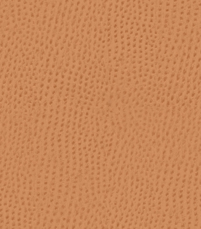 Mayer Outback Spice OB-009 Upholstery Fabric