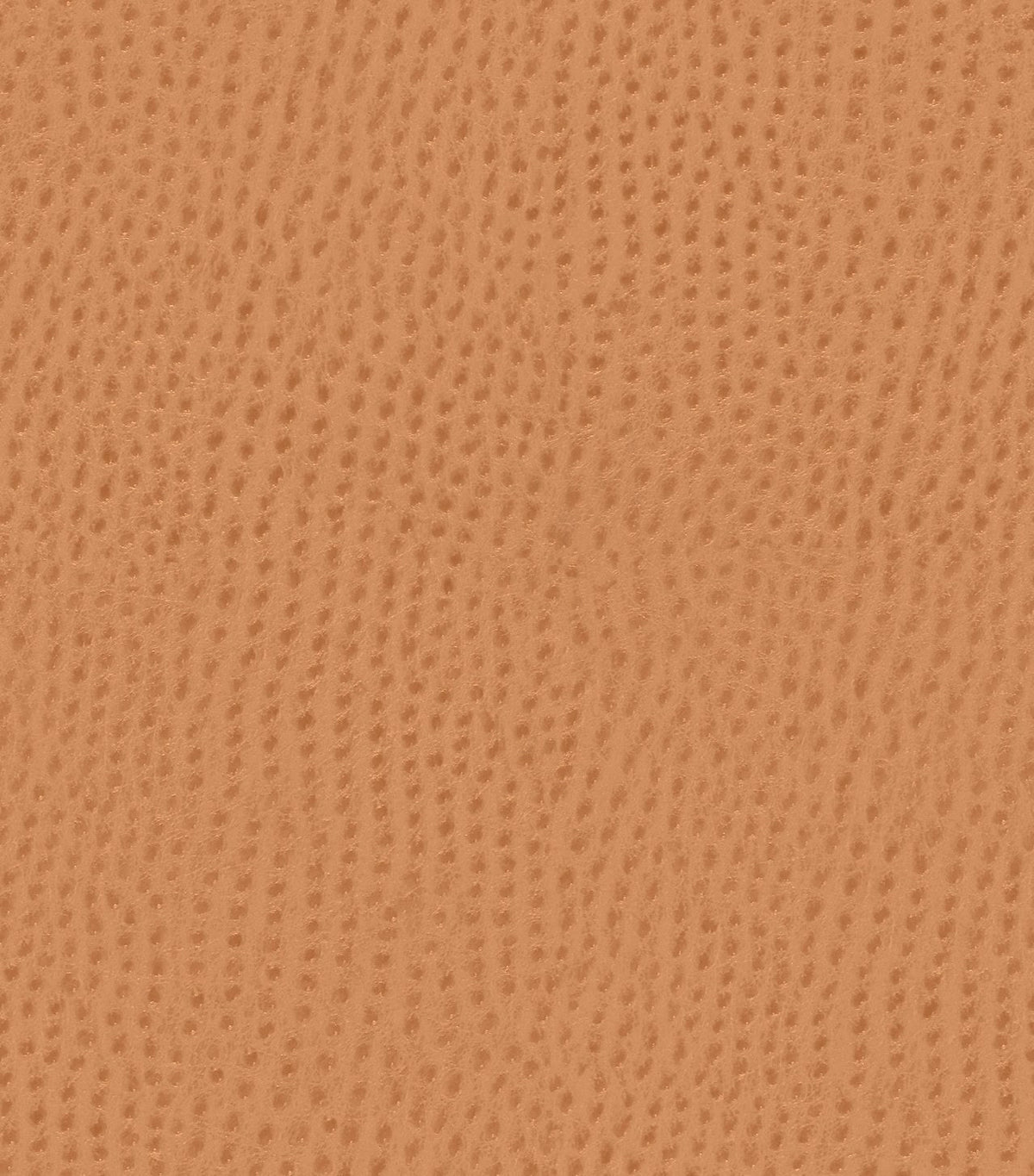 Mayer Outback Spice OB-009 Upholstery Fabric