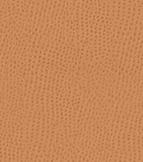 Mayer Outback Spice OB-009 Upholstery Fabric