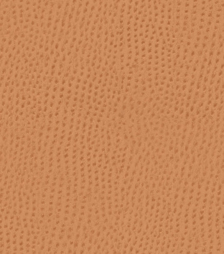 Mayer Outback Spice OB-009 Upholstery Fabric