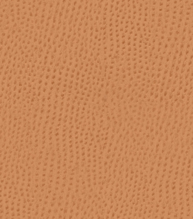 Mayer Outback Spice OB-009 Upholstery Fabric