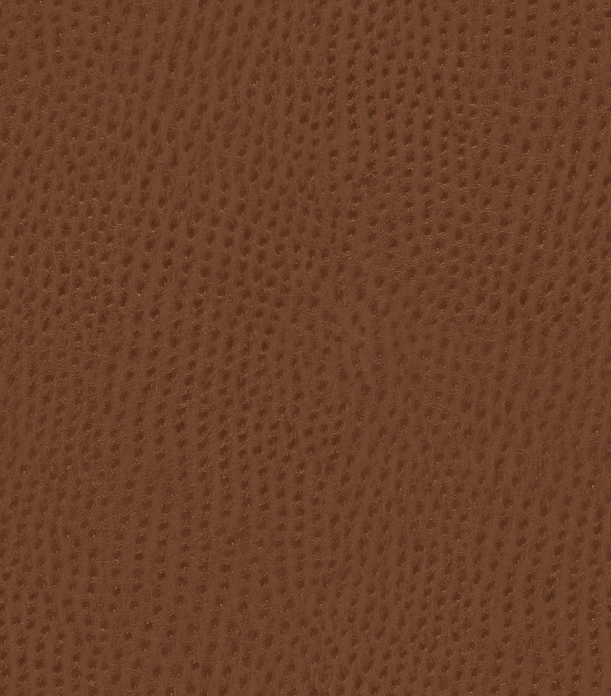 Mayer Outback Saddle OB-010 Upholstery Fabric