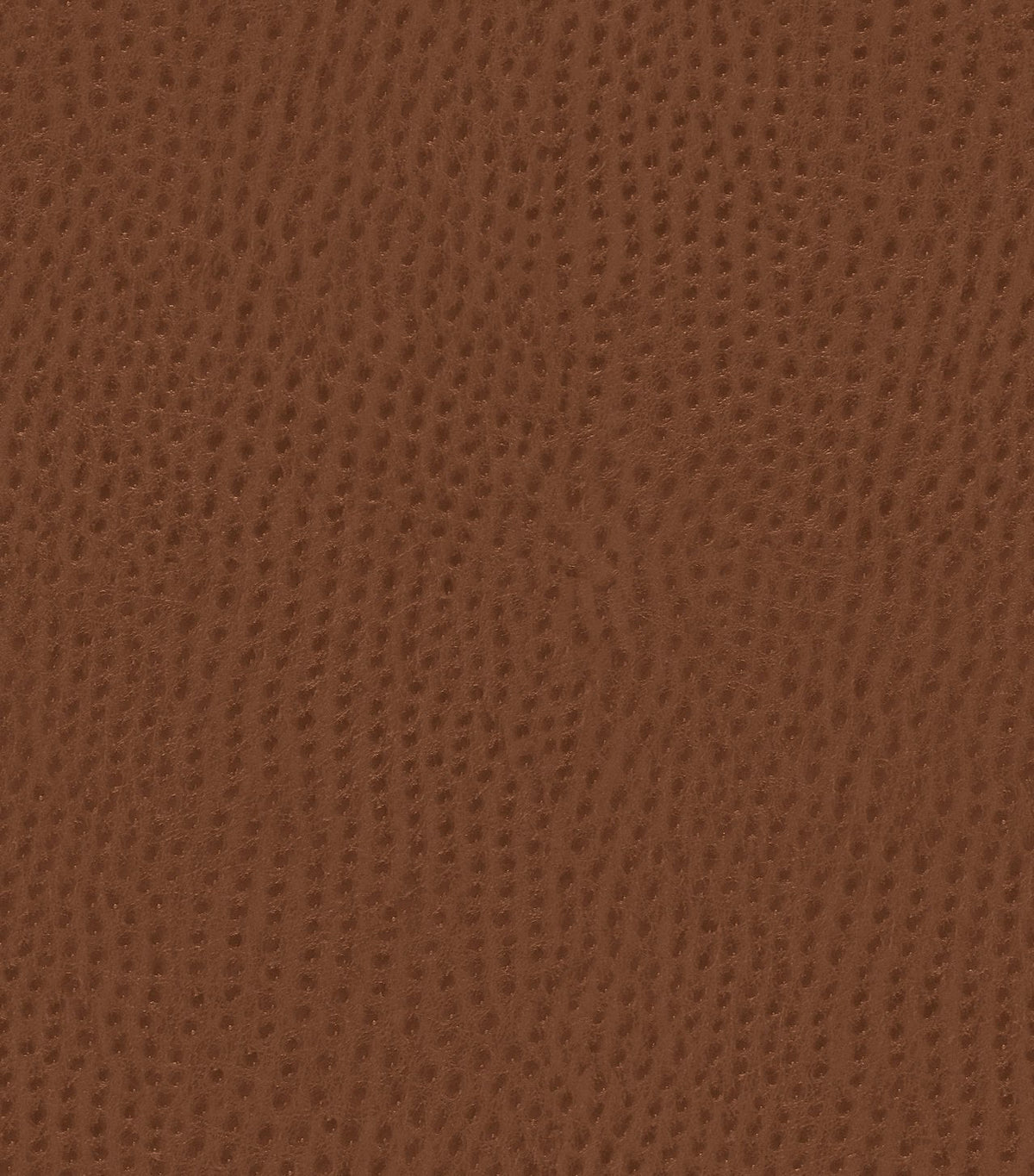 Mayer Outback Saddle OB-010 Upholstery Fabric