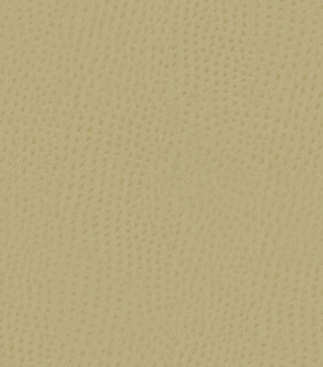Mayer Outback Cypress OB-013 Upholstery Fabric