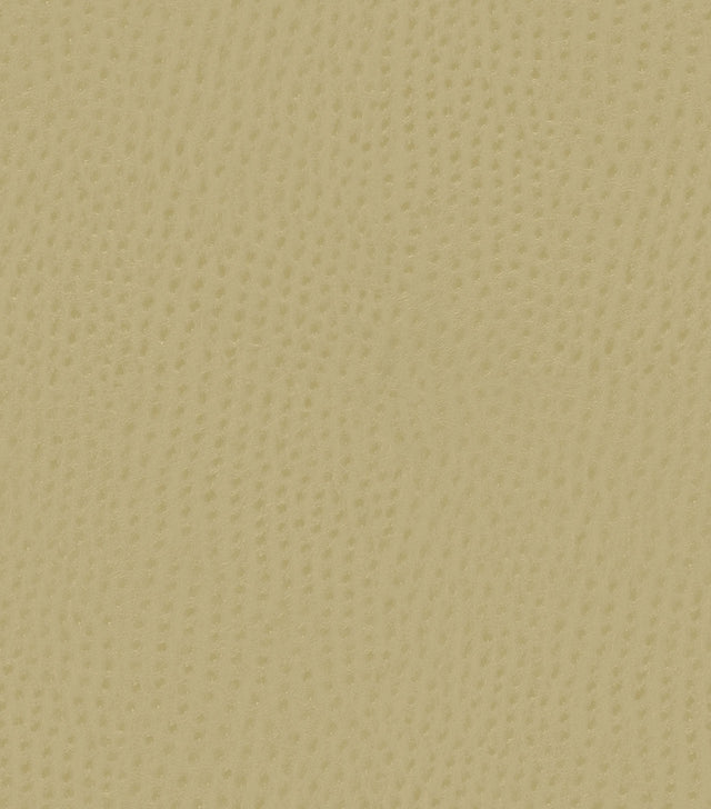 Mayer Outback Cypress OB-013 Upholstery Fabric