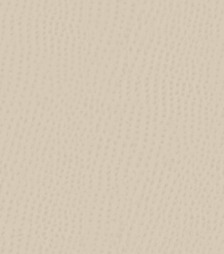 Mayer Outback Dove OB-016 Upholstery Fabric