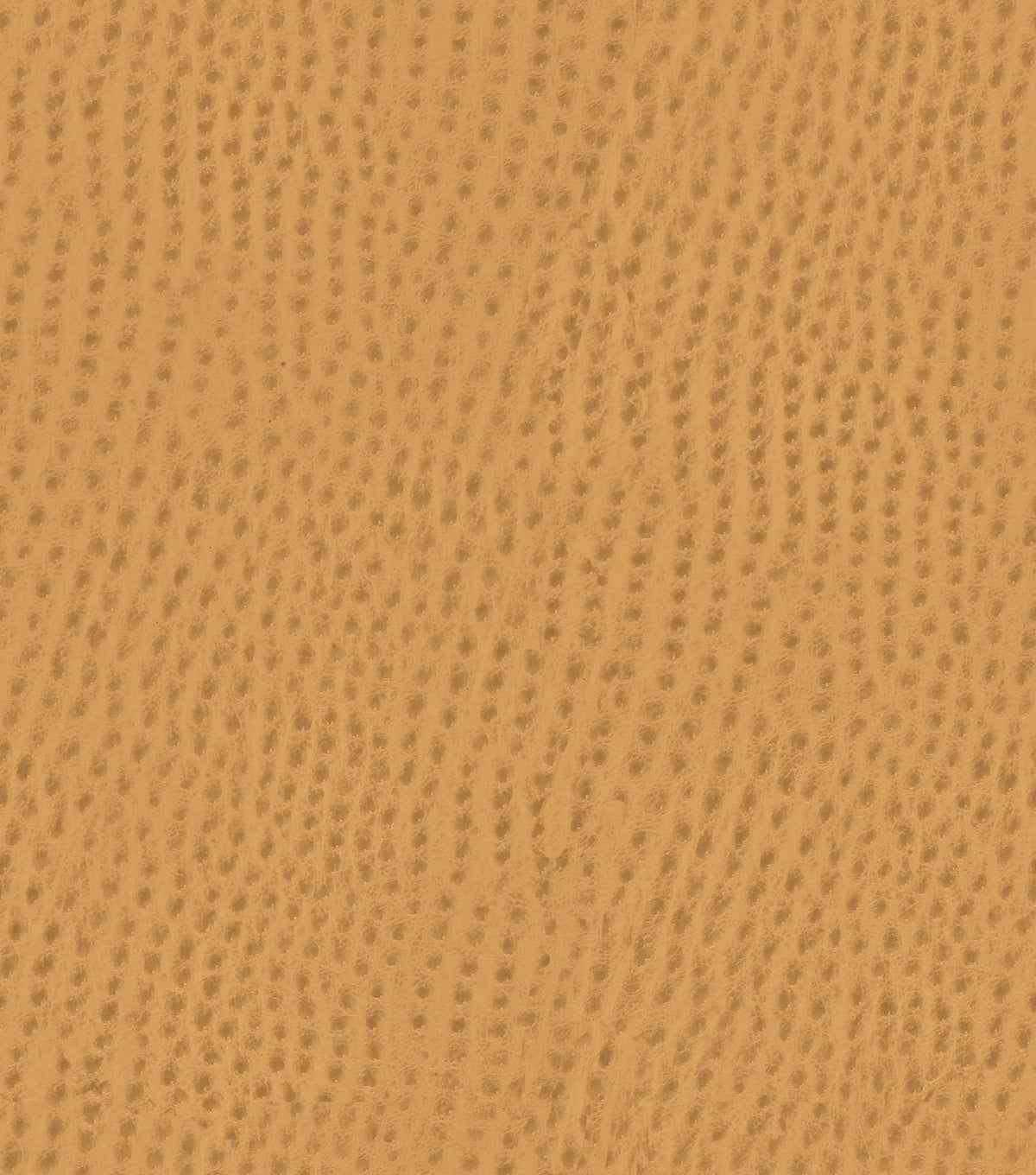 Mayer Outback Caramel OB-017 Upholstery Fabric