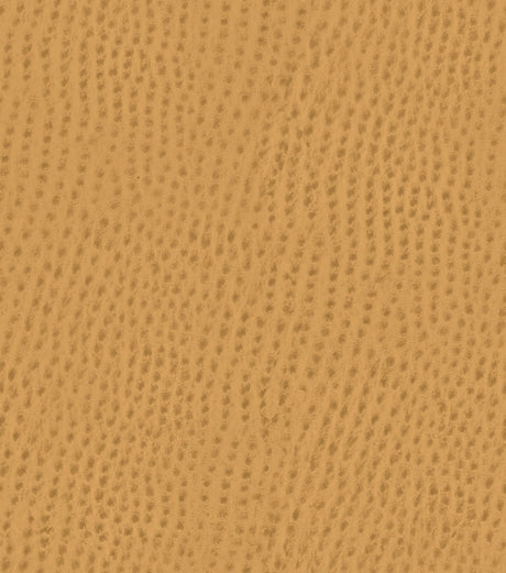 Mayer Outback Caramel OB-017 Upholstery Fabric