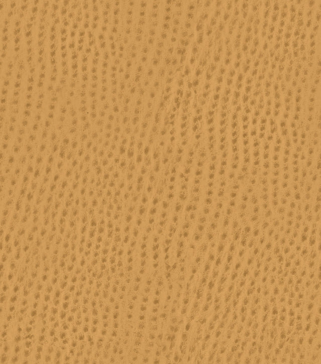 Mayer Outback Caramel OB-017 Upholstery Fabric