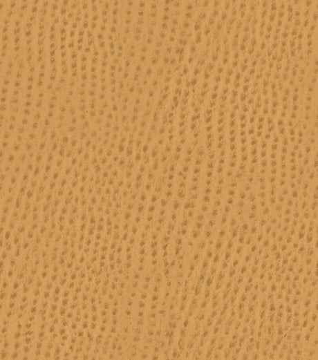 Mayer Outback Caramel OB-017 Upholstery Fabric