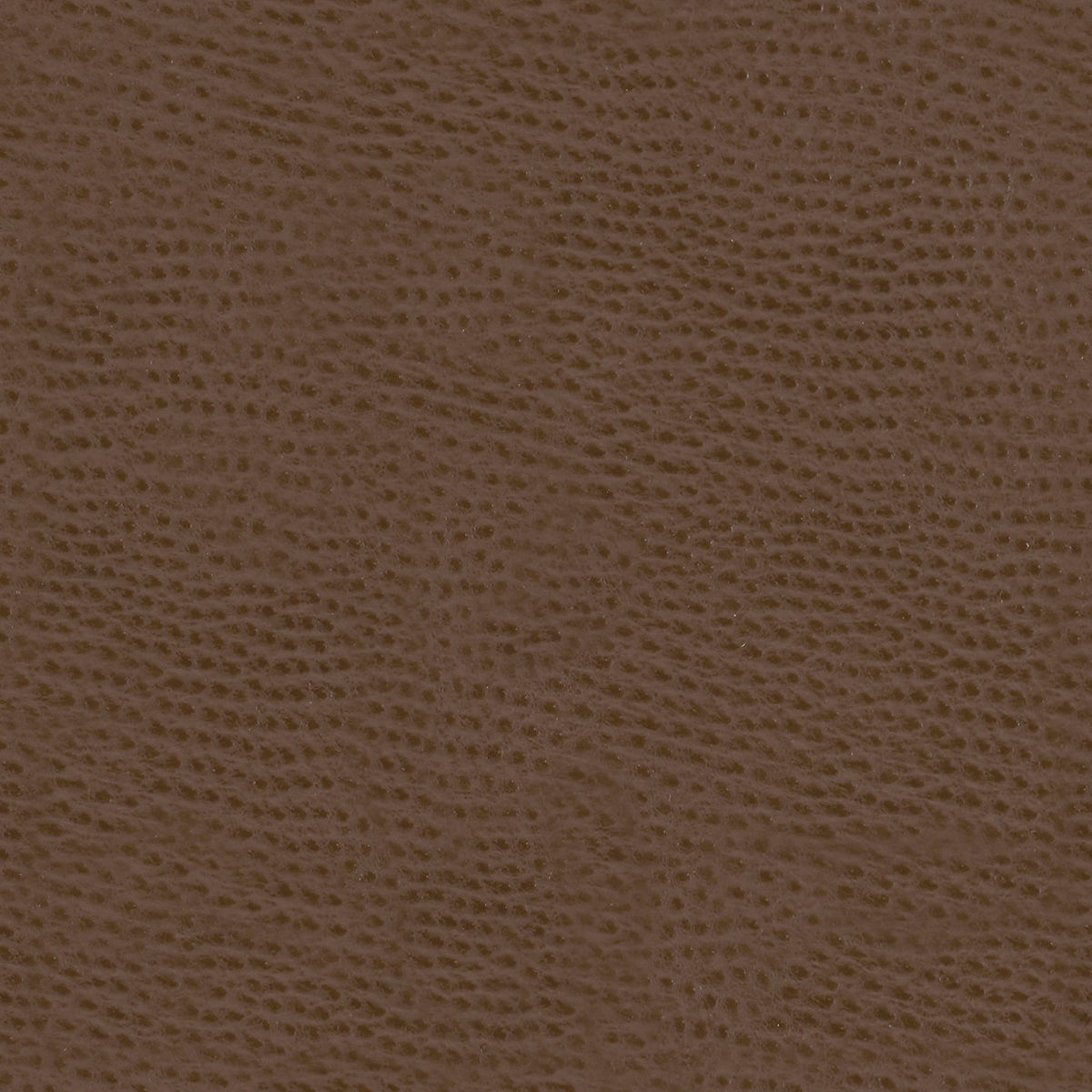 Mayer Outback Bombay OB-020 Upholstery Fabric