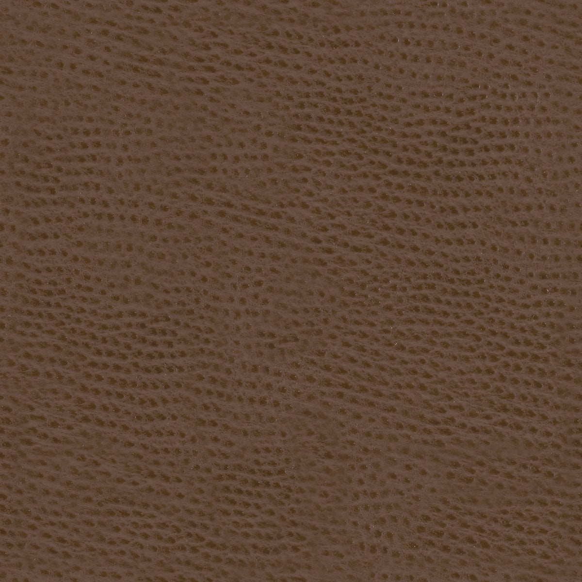 Mayer Outback Bombay OB-020 Upholstery Fabric