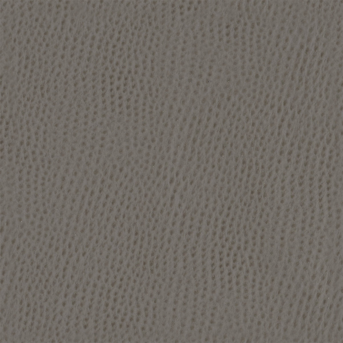 Mayer Outback Flint OB-036 Upholstery Fabric