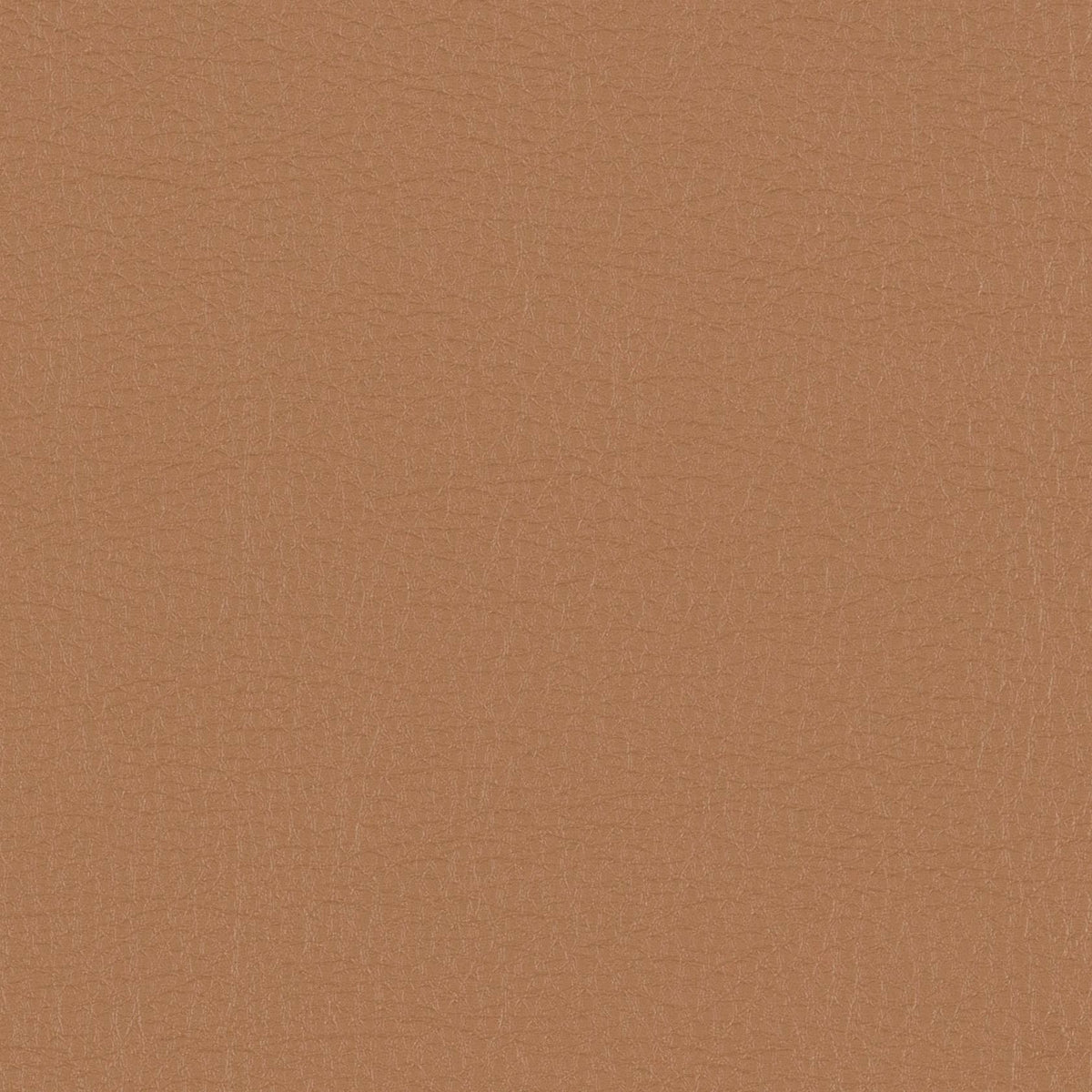 Morbern Marine Protege Empire Tan PG-03 Upholstery Fabric
