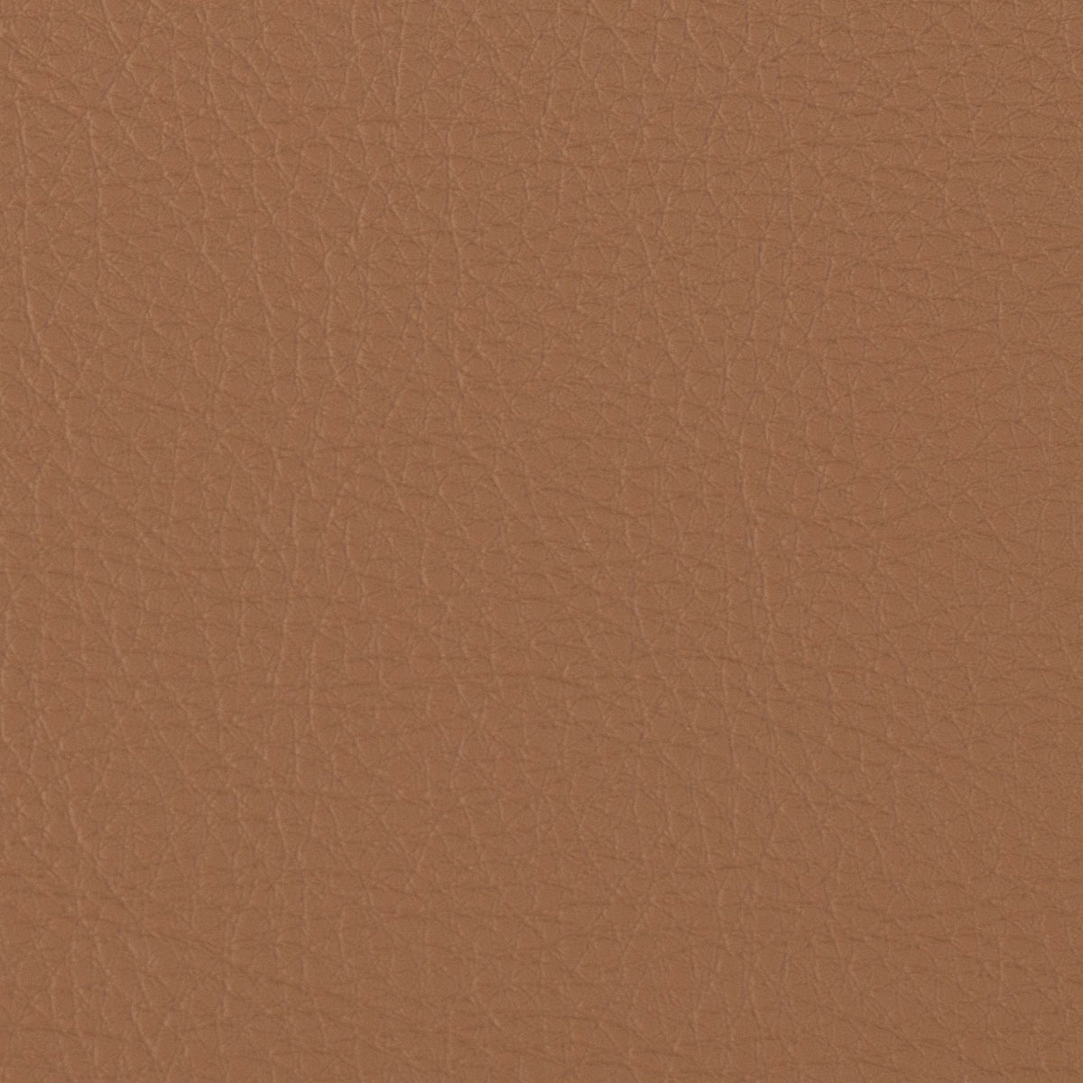 Morbern Marine Prodigy Empire Tan PRO-687 Upholstery Fabric
