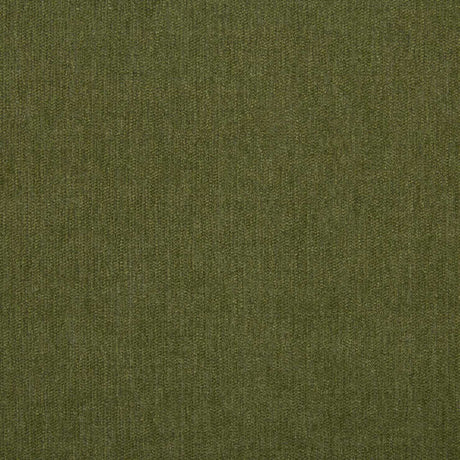 Sunbrella Ritsy Aloe 360007-0022 Interiors Foundation Collection Upholstery Fabric
