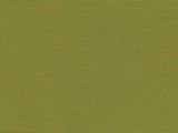 Recacril Sens Solid Pistachio D-160 Upholstery Fabric