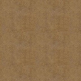 ABBEYSHEA Amarillo 6010 Moccasin Indoor Upholstery Fabric