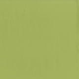 AbbeyShea Guardian 21 Meadow Automotive Seating and Upholstery Fabric