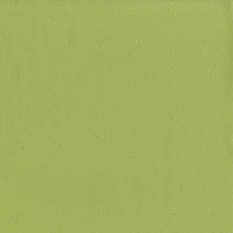 AbbeyShea Guardian 21 Meadow Automotive Seating and Upholstery Fabric