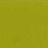 AbbeyShea Guardian 54 Citron Automotive Seating and Upholstery Fabric