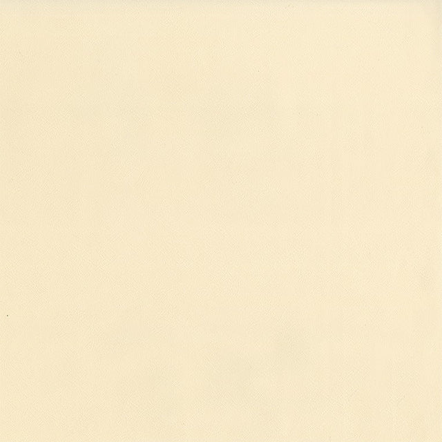 AbbeyShea Guardian 63 Vanilla Automotive Seating and Upholstery Fabric