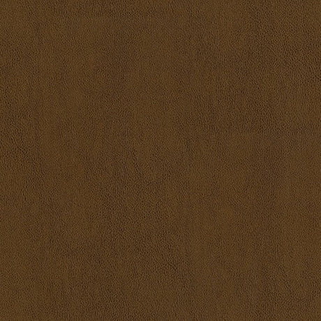 AbbeyShea Guardian 804 Amber Automotive Seating and Upholstery Fabric