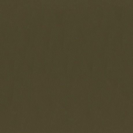 AbbeyShea Guardian 805 Bark Automotive Seating and Upholstery Fabric