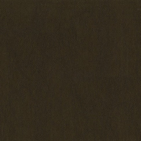 AbbeyShea Guardian 88 Tobacco Automotive Seating and Upholstery Fabric