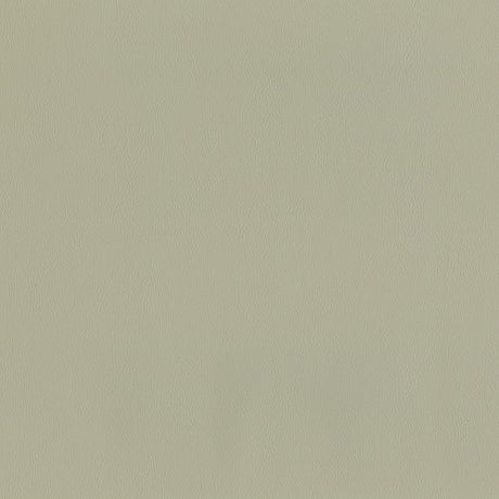 AbbeyShea Guardian 903 Fog Automotive Seating and Upholstery Fabric
